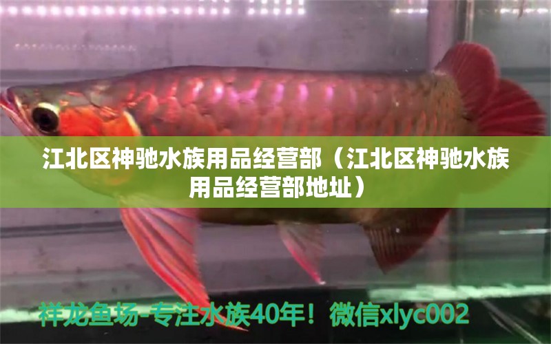 江北區(qū)神馳水族用品經(jīng)營部（江北區(qū)神馳水族用品經(jīng)營部地址）