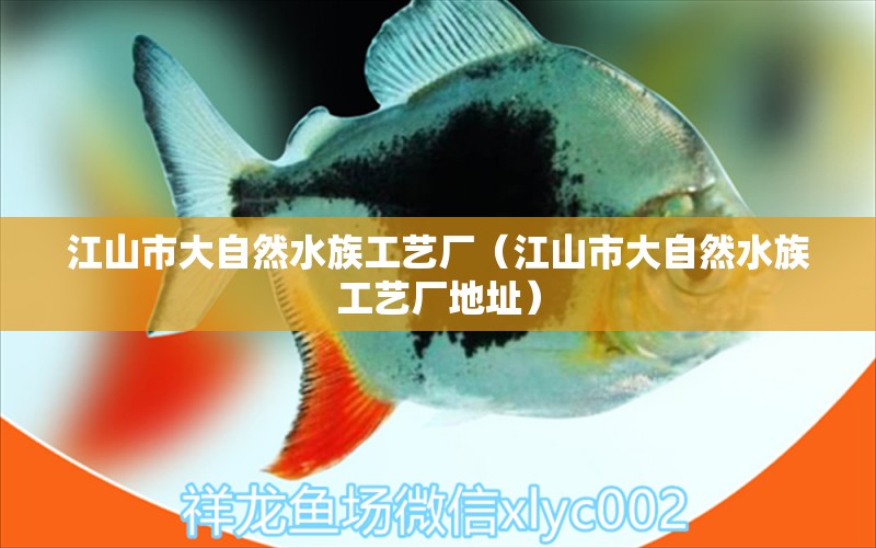 江山市大自然水族工藝廠（江山市大自然水族工藝廠地址）