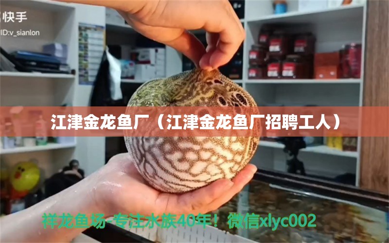 江津金龍魚廠（江津金龍魚廠招聘工人）