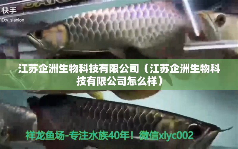 江蘇企洲生物科技有限公司（江蘇企洲生物科技有限公司怎么樣）