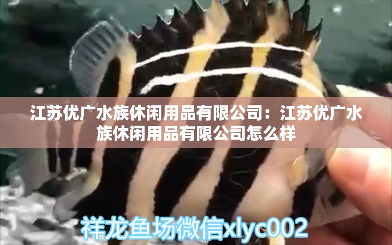 江蘇優(yōu)廣水族休閑用品有限公司：江蘇優(yōu)廣水族休閑用品有限公司怎么樣