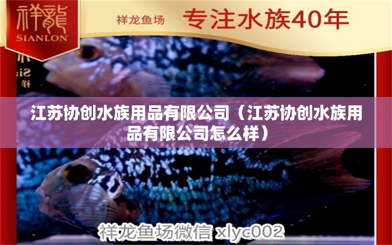 江蘇協(xié)創(chuàng)水族用品有限公司（江蘇協(xié)創(chuàng)水族用品有限公司怎么樣） 水族用品