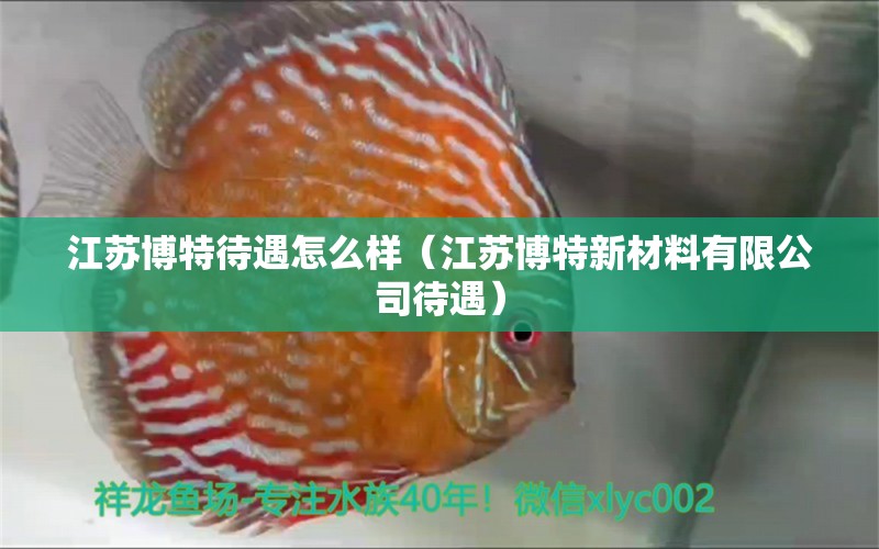 江蘇博特待遇怎么樣（江蘇博特新材料有限公司待遇）