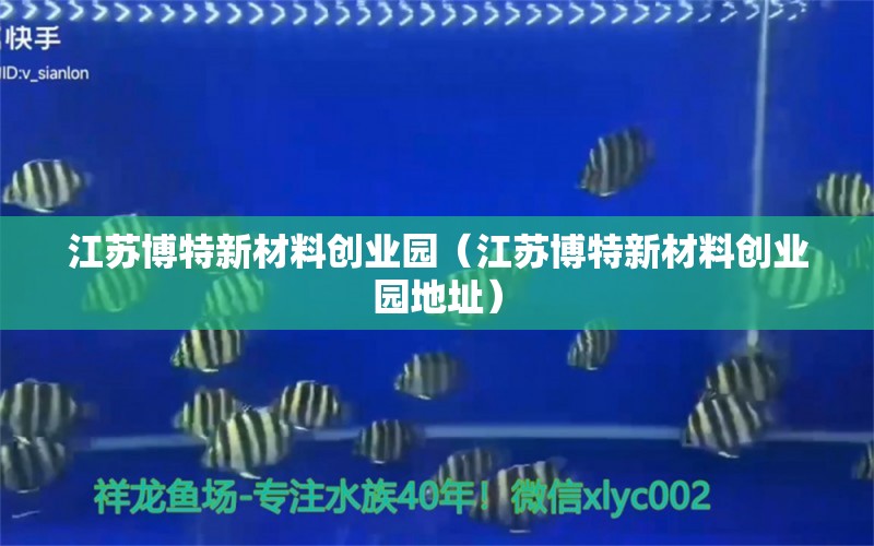 江蘇博特新材料創(chuàng)業(yè)園（江蘇博特新材料創(chuàng)業(yè)園地址）