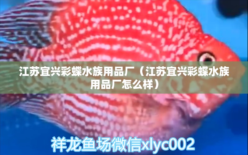 江蘇宜興彩蝶水族用品廠（江蘇宜興彩蝶水族用品廠怎么樣）