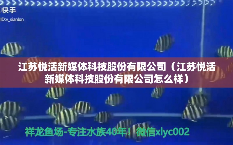 江蘇悅活新媒體科技股份有限公司（江蘇悅活新媒體科技股份有限公司怎么樣）