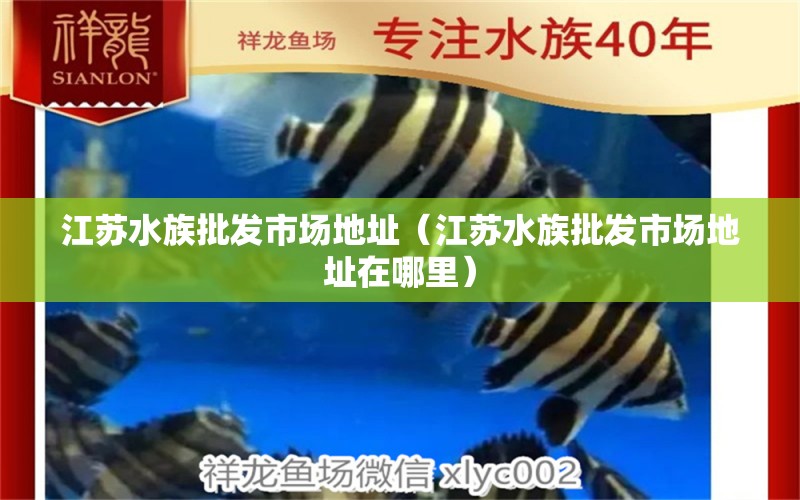 江蘇水族批發(fā)市場地址（江蘇水族批發(fā)市場地址在哪里） 觀賞魚水族批發(fā)市場