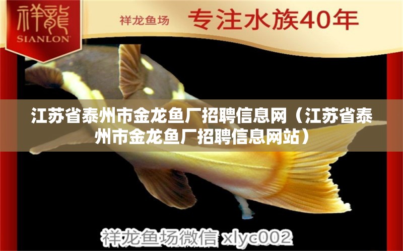 江蘇省泰州市金龍魚廠招聘信息網(wǎng)（江蘇省泰州市金龍魚廠招聘信息網(wǎng)站）