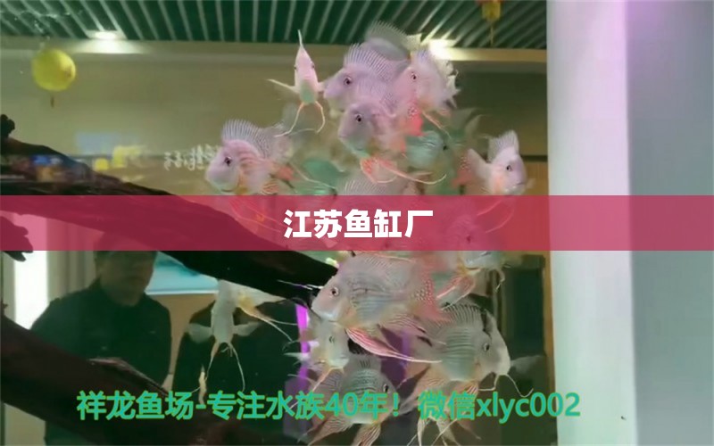 江蘇魚缸廠