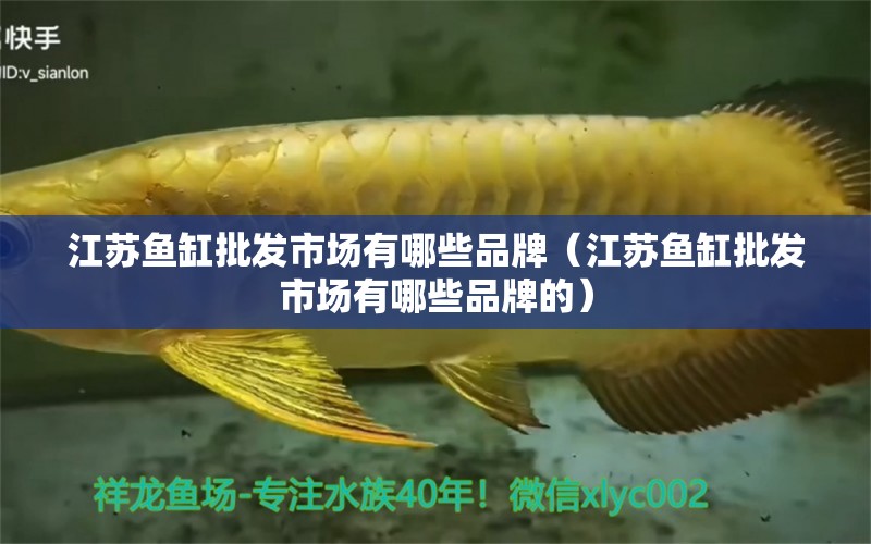 江蘇魚缸批發(fā)市場(chǎng)有哪些品牌（江蘇魚缸批發(fā)市場(chǎng)有哪些品牌的）