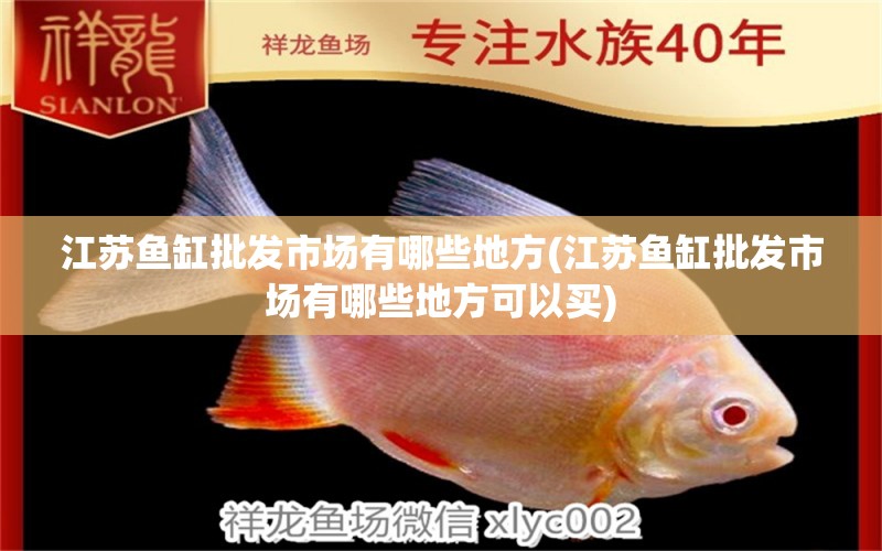 江蘇魚缸批發(fā)市場(chǎng)有哪些地方(江蘇魚缸批發(fā)市場(chǎng)有哪些地方可以買) 魚缸水質(zhì)穩(wěn)定劑