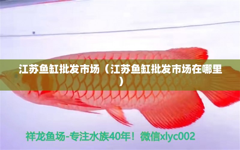 江蘇魚(yú)缸批發(fā)市場(chǎng)（江蘇魚(yú)缸批發(fā)市場(chǎng)在哪里）