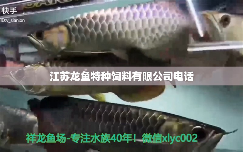 江蘇龍魚特種飼料有限公司電話