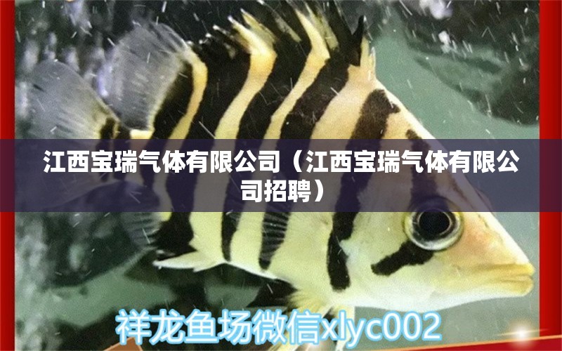 江西寶瑞氣體有限公司（江西寶瑞氣體有限公司招聘） 全國水族館企業(yè)名錄