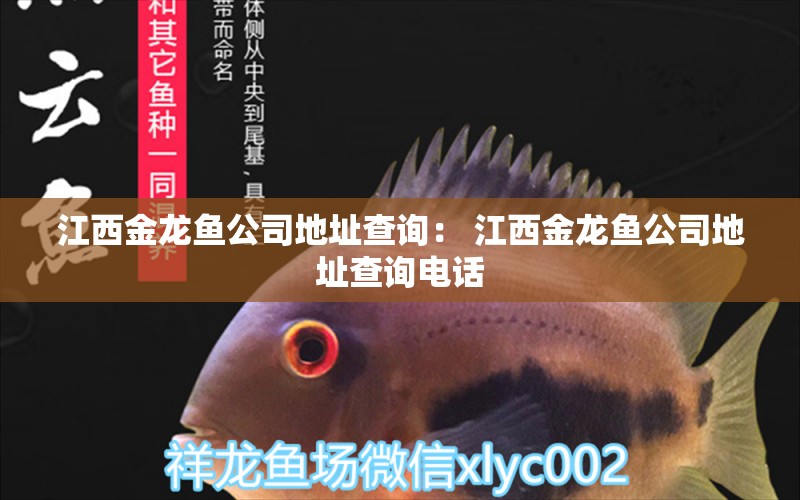 江西金龍魚公司地址查詢： 江西金龍魚公司地址查詢電話 非洲金鼓魚