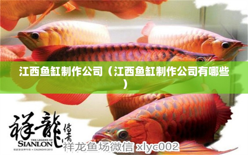 江西魚缸制作公司（江西魚缸制作公司有哪些）