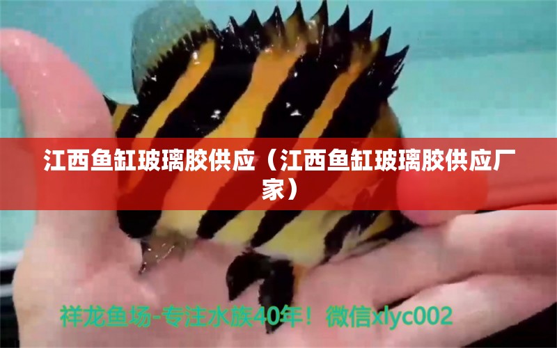 江西魚缸玻璃膠供應(yīng)（江西魚缸玻璃膠供應(yīng)廠家） 其他品牌魚缸