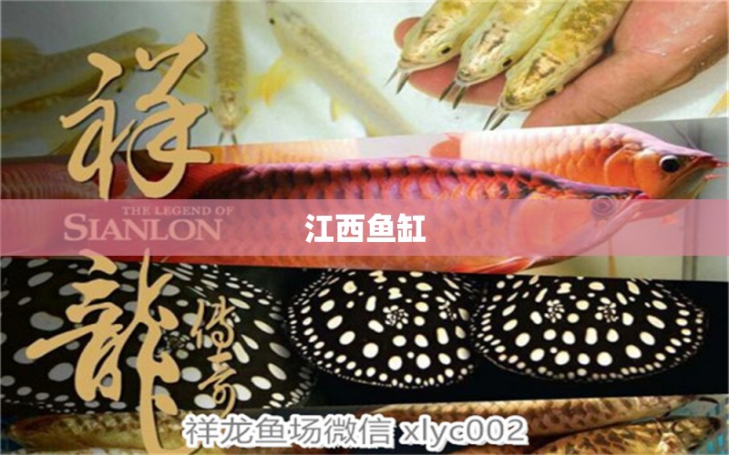 江西魚缸 其他品牌魚缸