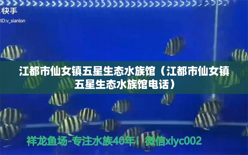 江都市仙女鎮(zhèn)五星生態(tài)水族館（江都市仙女鎮(zhèn)五星生態(tài)水族館電話）