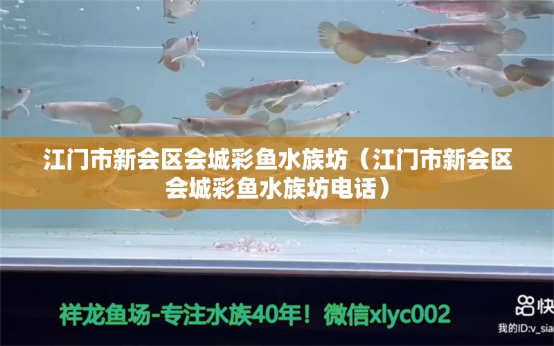 江門(mén)市新會(huì)區(qū)會(huì)城彩魚(yú)水族坊（江門(mén)市新會(huì)區(qū)會(huì)城彩魚(yú)水族坊電話(huà)）