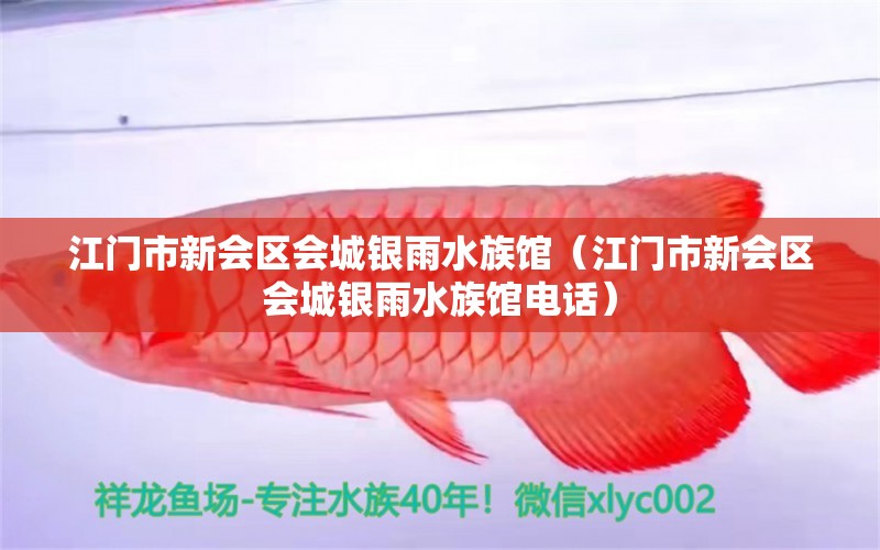 江門市新會(huì)區(qū)會(huì)城銀雨水族館（江門市新會(huì)區(qū)會(huì)城銀雨水族館電話）