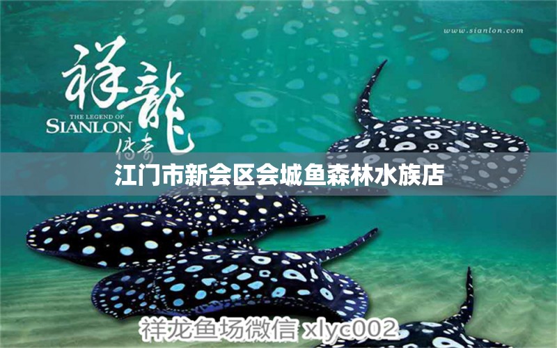 江門市新會區(qū)會城魚森林水族店 全國水族館企業(yè)名錄