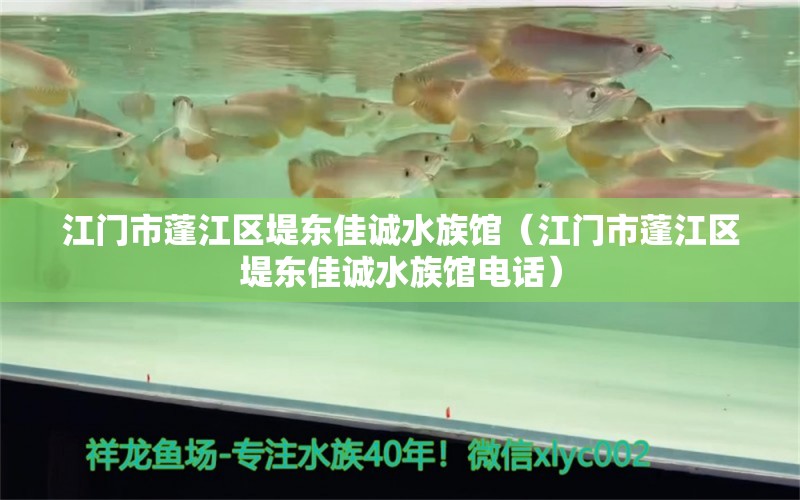 江門市蓬江區(qū)堤東佳誠水族館（江門市蓬江區(qū)堤東佳誠水族館電話） 全國水族館企業(yè)名錄