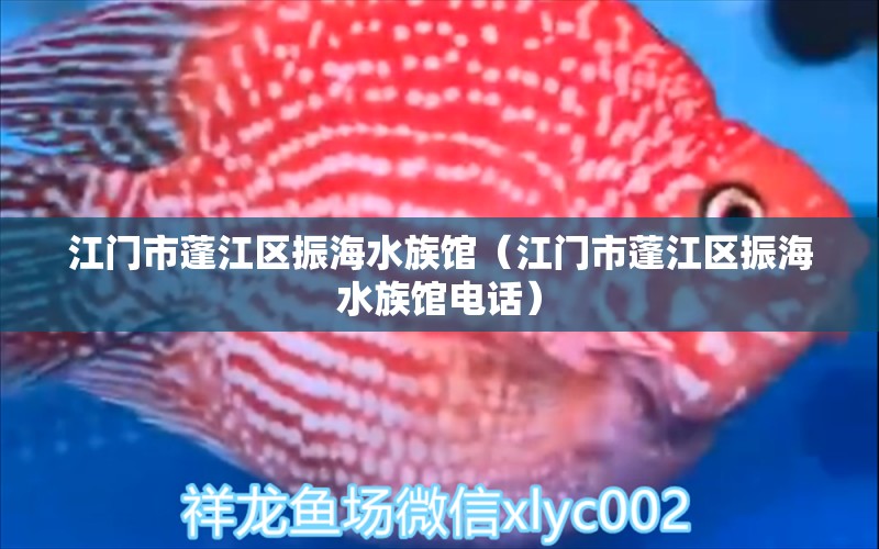 江門市蓬江區(qū)振海水族館（江門市蓬江區(qū)振海水族館電話）