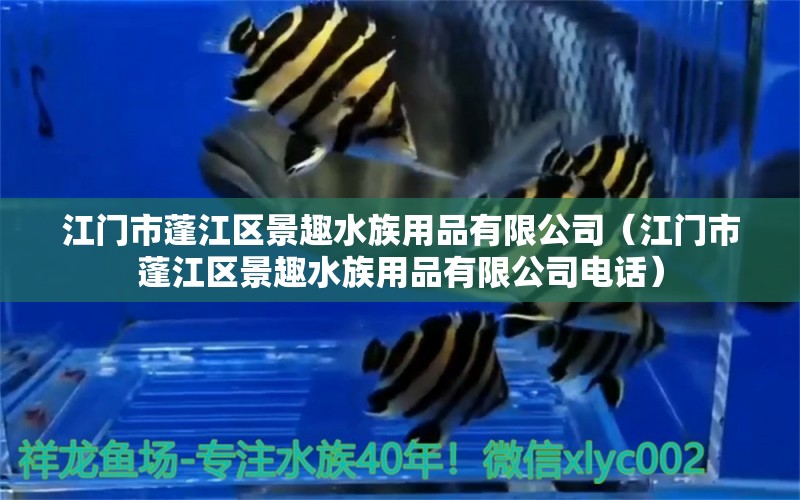 江門市蓬江區(qū)景趣水族用品有限公司（江門市蓬江區(qū)景趣水族用品有限公司電話） 水族用品