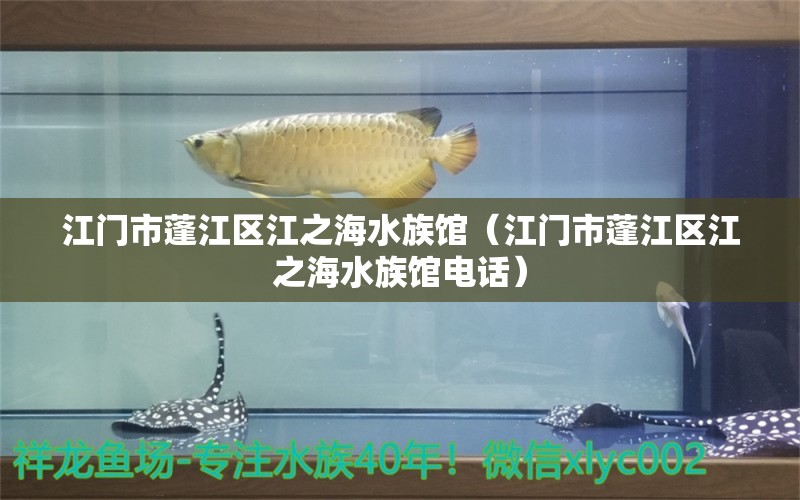 江門市蓬江區(qū)江之海水族館（江門市蓬江區(qū)江之海水族館電話）