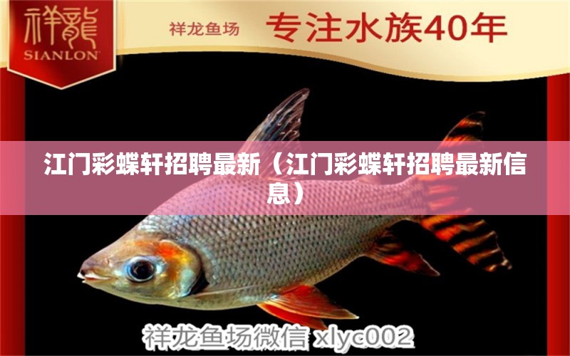 江門彩蝶軒招聘最新（江門彩蝶軒招聘最新信息） 祥龍水族醫(yī)院