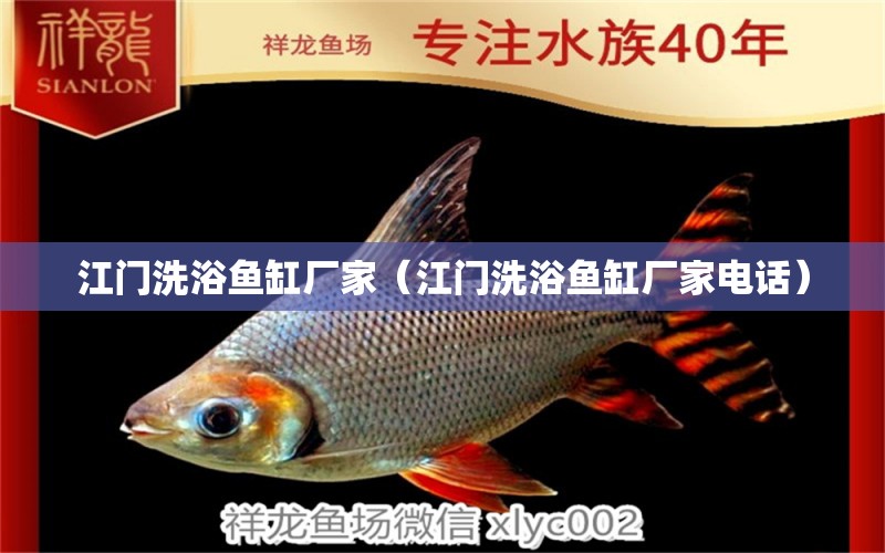 江門洗浴魚缸廠家（江門洗浴魚缸廠家電話）