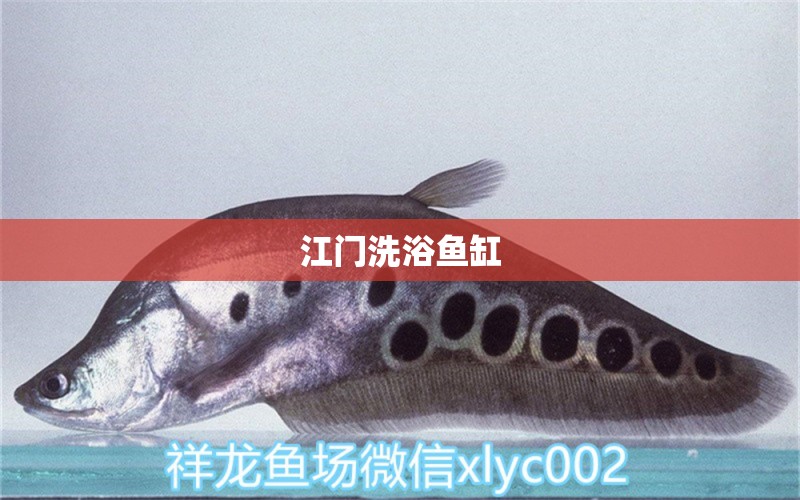 江門洗浴魚缸