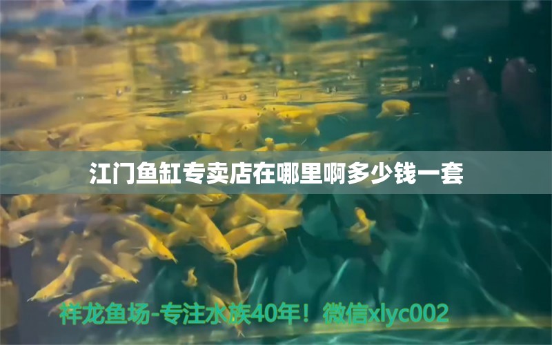 江門魚缸專賣店在哪里啊多少錢一套