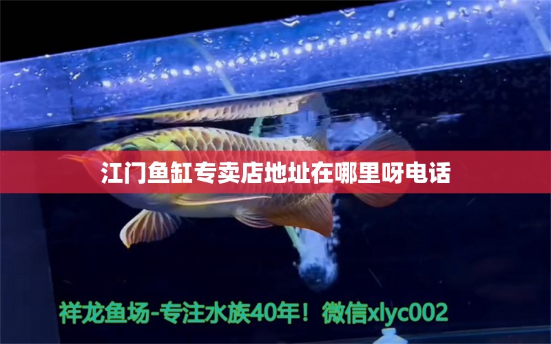 江門魚缸專賣店地址在哪里呀電話