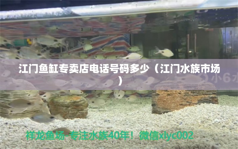 江門魚缸專賣店電話號碼多少（江門水族市場）