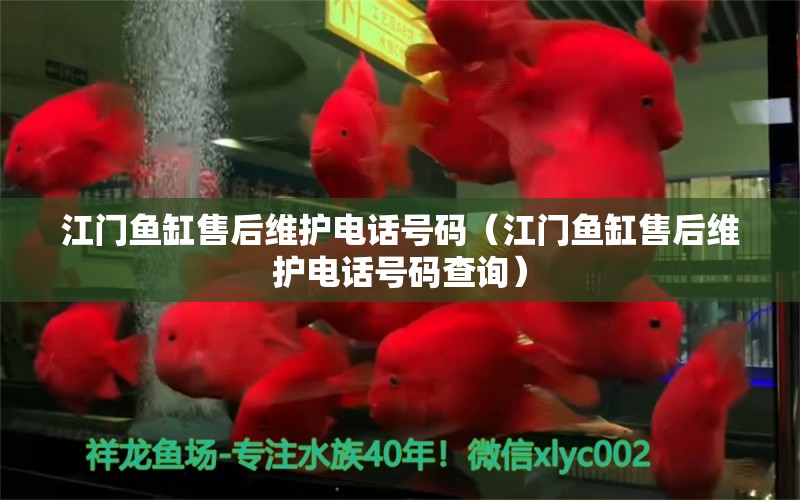 江門魚缸售后維護(hù)電話號(hào)碼（江門魚缸售后維護(hù)電話號(hào)碼查詢）