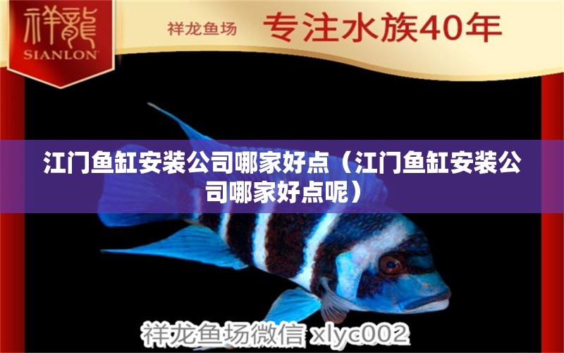 江門魚缸安裝公司哪家好點（江門魚缸安裝公司哪家好點呢）