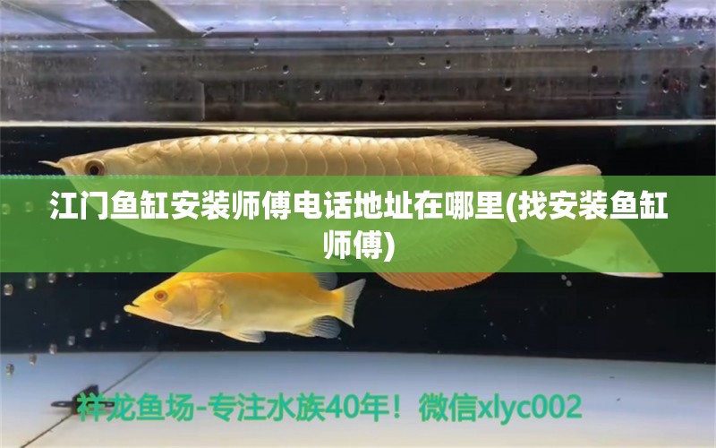 江門魚缸安裝師傅電話地址在哪里(找安裝魚缸師傅) 黃鰭鯧魚