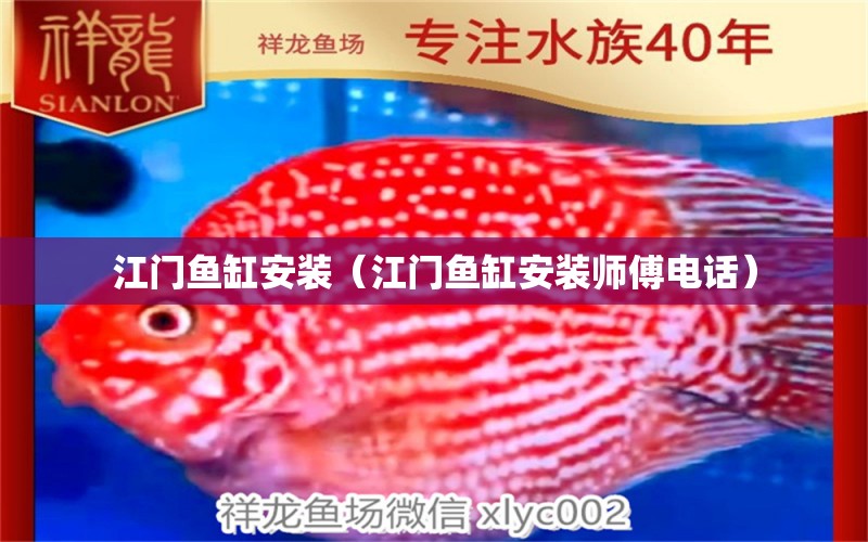 江門魚缸安裝（江門魚缸安裝師傅電話） 祥龍水族醫(yī)院