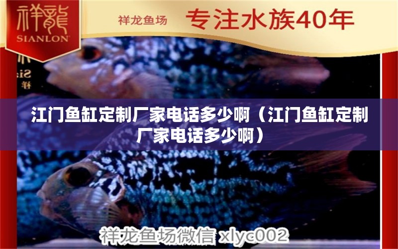 江門魚缸定制廠家電話多少?。ńT魚缸定制廠家電話多少啊）