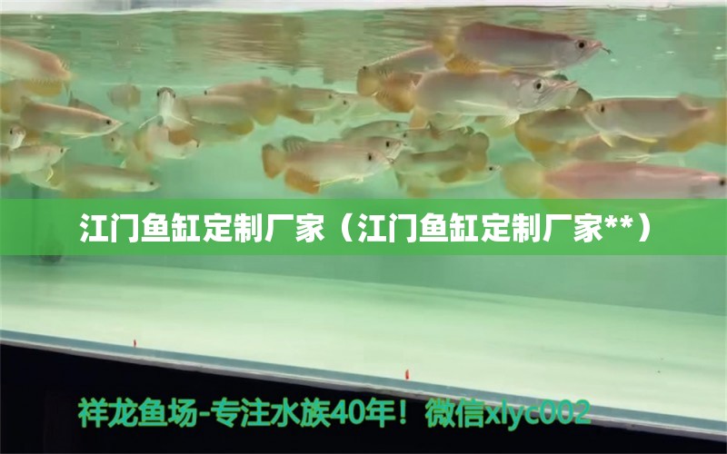 江門魚缸定制廠家（江門魚缸定制廠家**）