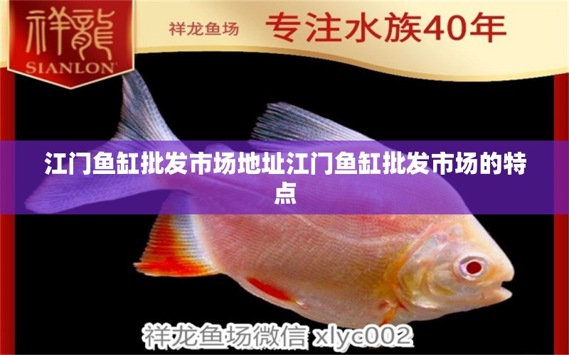 江門魚缸批發(fā)市場(chǎng)地址江門魚缸批發(fā)市場(chǎng)的特點(diǎn) 紅尾平克魚