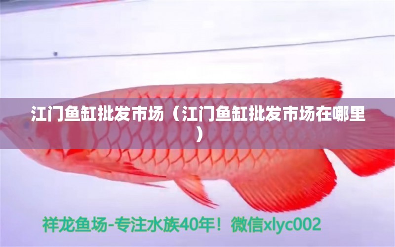 江門魚缸批發(fā)市場（江門魚缸批發(fā)市場在哪里）