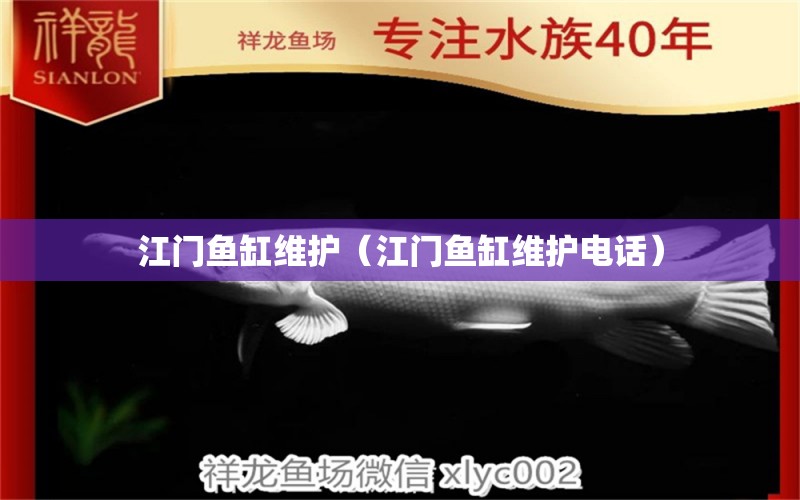 江門魚缸維護（江門魚缸維護電話）