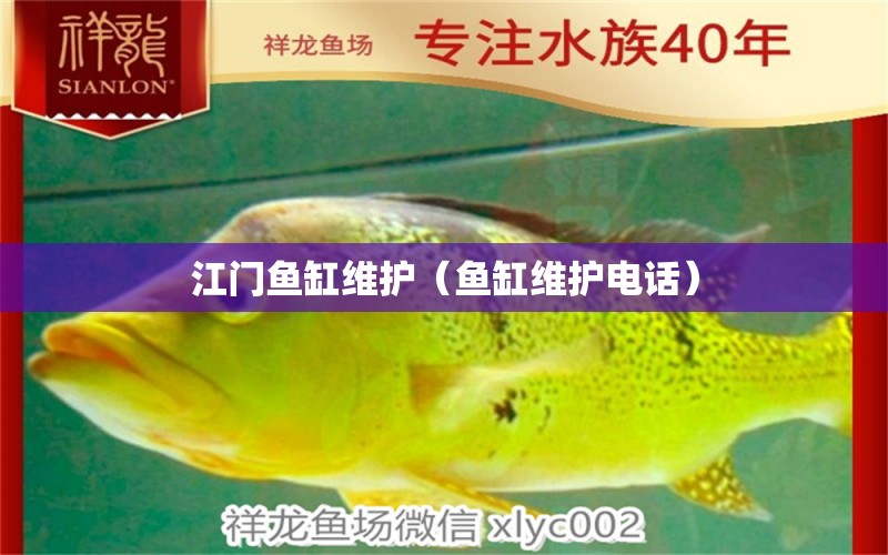 江門魚缸維護(hù)（魚缸維護(hù)電話）