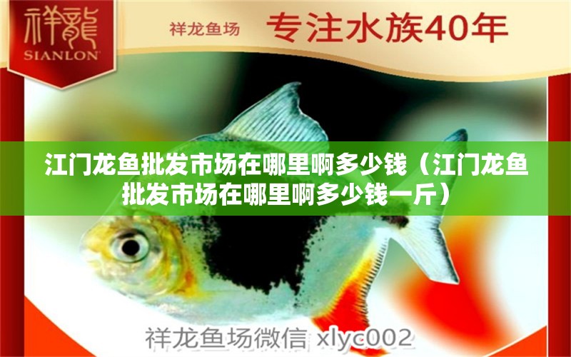 江門龍魚批發(fā)市場在哪里啊多少錢（江門龍魚批發(fā)市場在哪里啊多少錢一斤）