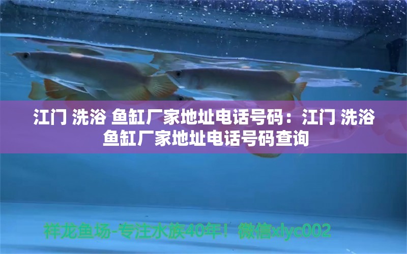 江門 洗浴 魚缸廠家地址電話號碼：江門 洗浴 魚缸廠家地址電話號碼查詢