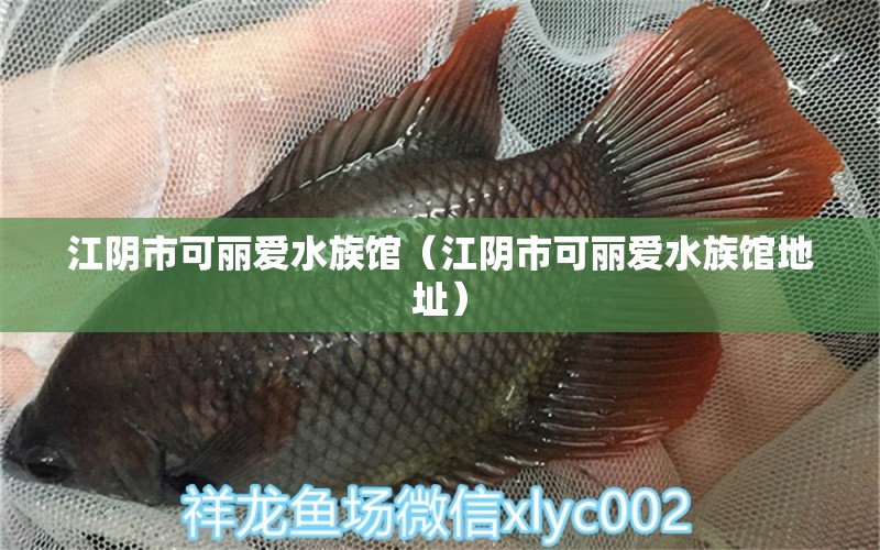 江陰市可麗愛水族館（江陰市可麗愛水族館地址） 全國水族館企業(yè)名錄