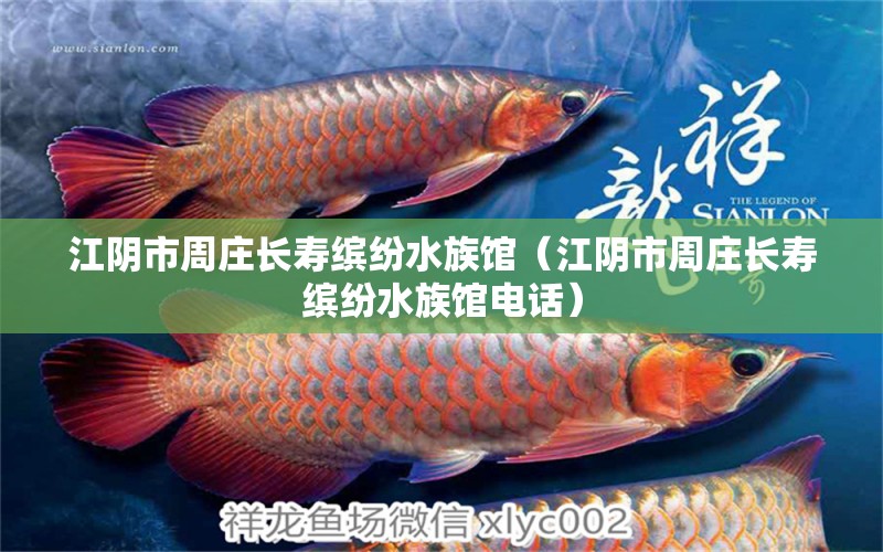 江陰市周莊長壽繽紛水族館（江陰市周莊長壽繽紛水族館電話）